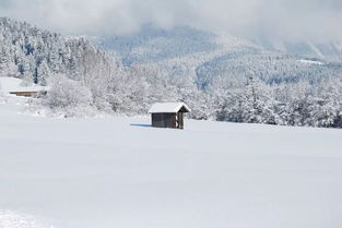 小學(xué)課本必會(huì)關(guān)于雪的詩(shī)句