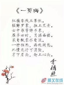 贊美才女的詩句古詩詞