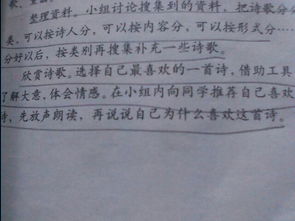 幫我,詩句,下雨,找到