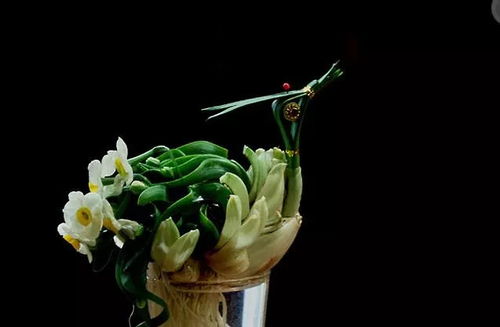 描寫水仙花的詩句古詩,描寫水仙花的詩句,描寫水仙花的詩句古詩大全