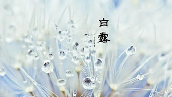 關(guān)于的白露詩句