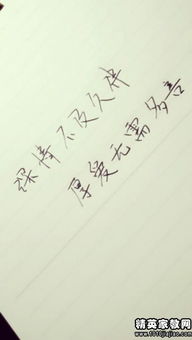 關(guān)于愛情的唯美詩句傷感的句子