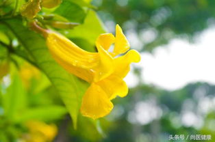 夏天景象的古詩句