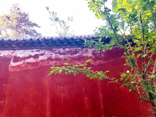 形容紅墻綠瓦的古詩句