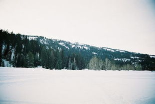 關(guān)于安眠的詩(shī)句