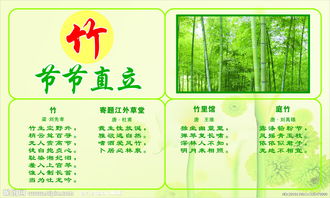 梅花蘭花的詩句古詩