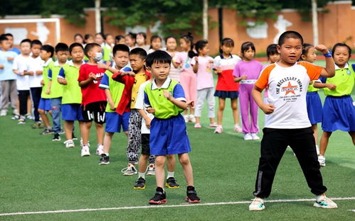所見古詩描寫動態(tài)和靜態(tài)的詩句