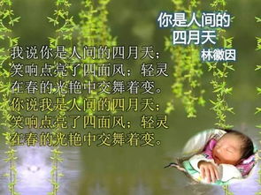 關于生命的詩句現代