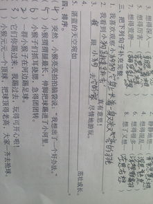 小學(xué)補充古詩句