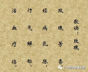 關(guān)于春末夏初花的詩句