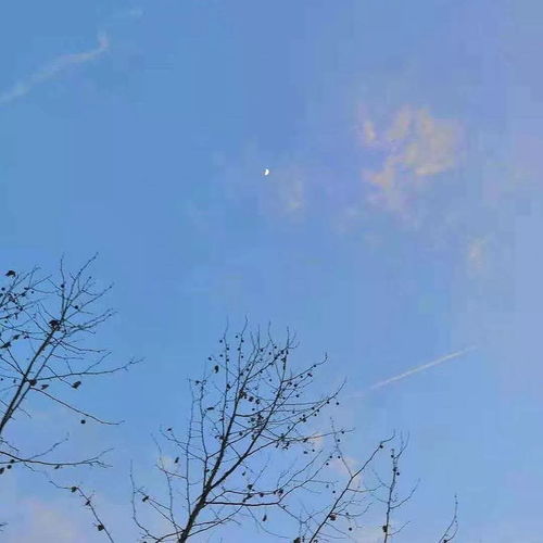 這一生關(guān)于你的風(fēng)景詩句