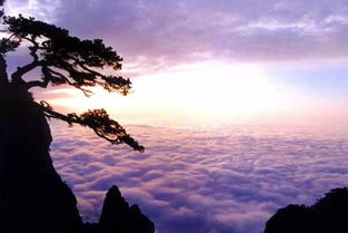 一句關于廬山的詩句