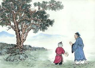 鳥的古詩句白居易翻譯