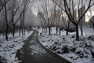 關(guān)于三月飄雪的詩句