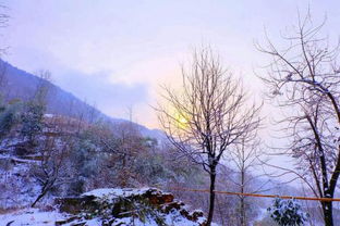 春天秋天夏天冬天的描述,春天秋天夏天冬天的特征,春天夏天冬天秋天英語(yǔ)怎么讀