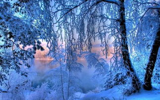 描寫(xiě)雪的詩(shī)句古詩(shī)(寫(xiě)雪的美),描寫(xiě)雪的詩(shī)句古詩(shī)二年級(jí),描寫(xiě)雪的詩(shī)句古詩(shī)兩句