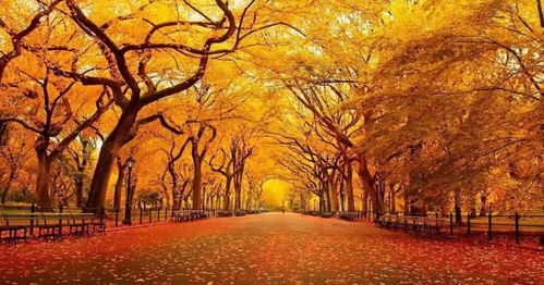 秋天冬天夏天的詩(shī)句古詩(shī)大全300首