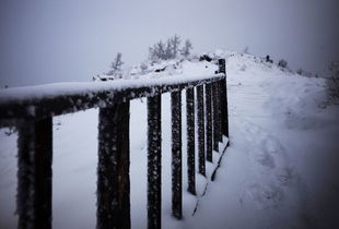 描寫冬天風(fēng)景的詩句古詩,描寫秋天風(fēng)景的詩句古詩,描寫春天風(fēng)景的詩句古詩