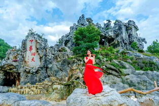 含有巍的古詩句