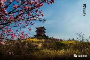 帶有泰山的古詩句