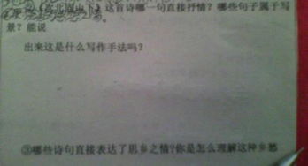 關(guān)于直接抒情的古詩句