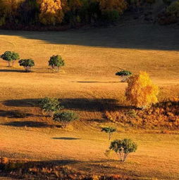 描寫秋日草原的詩句古詩,秋日風(fēng)景的詩句古詩,秋日離別的詩句古詩