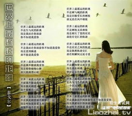 詩句,親情,感動