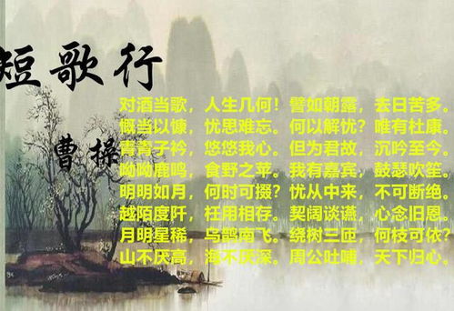 關(guān)于曹操最后一次南征的詩句