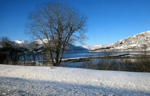 詩(shī)句,于水,出處,帶詩(shī)名