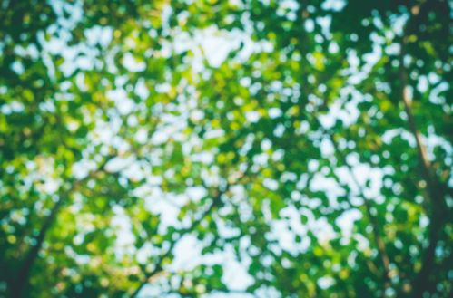 關(guān)于夏蟬的詩句古詩詞,描寫蟬的詩句古詩詞,關(guān)于蟬的詩句古詩詞七言