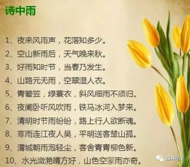小學畢業(yè)給同學的贈言古詩,小學畢業(yè)古詩贈言,小學畢業(yè)必背古詩