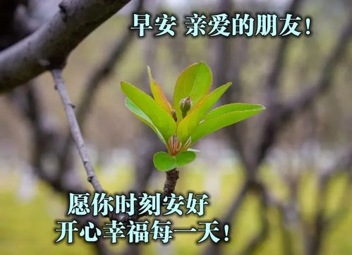 關(guān)于夢與祝福的詩句
