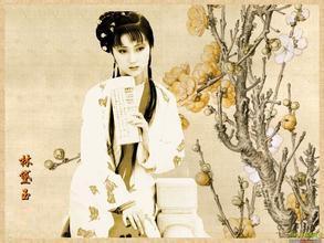 紅樓夢關(guān)于林黛玉的詩句