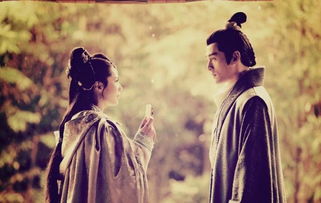 瑯琊榜的古詩句