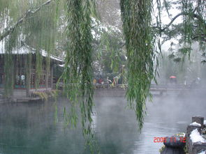 關(guān)于潔身自愛的詩(shī)句