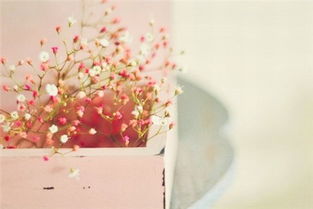 描寫春天色彩的詩(shī)句古詩(shī)