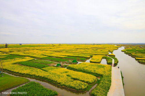 關(guān)于陽春三月的詩句