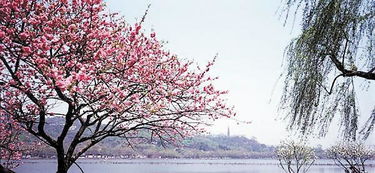 關(guān)于三春詩句