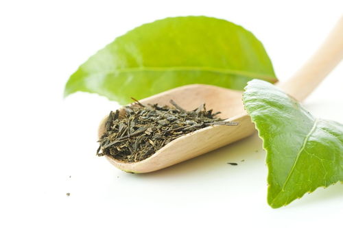 兩條或俗語關(guān)于茶的詩句