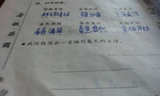 關(guān)于描寫春天的詩句古詩,描寫春天花的詩句古詩,描寫春天柳樹的詩句古詩