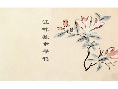 關(guān)于花的詩(shī)句五個(gè)