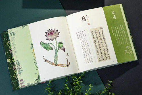 詩句,生存,生命,生活