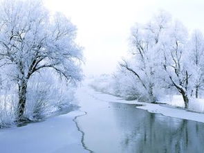 詩句,課本,小學(xué)生,于雪