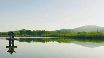 古詩,詩句,贊美,春天