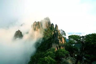 關(guān)于光的古詩句飛花令