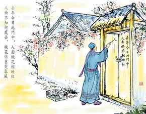 詩句,情懷,人文