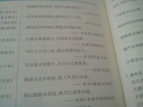 有關夏天的詩句古詩大全,描寫夏天的詩句古詩大全,夏天的花詩句古詩大全