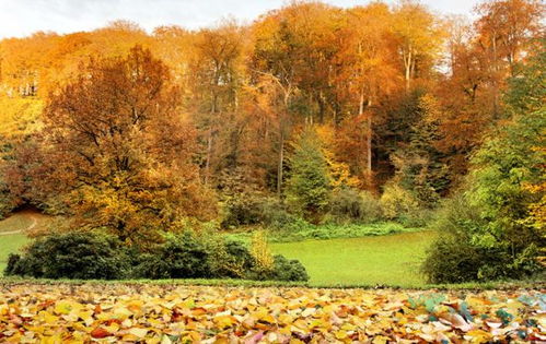 關(guān)于秋天的雨的詩(shī)句古詩(shī)