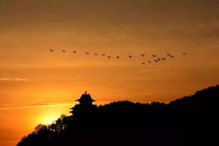 人生起飛的詩(shī)句,形容起飛的詩(shī)句,贊美起飛的詩(shī)句