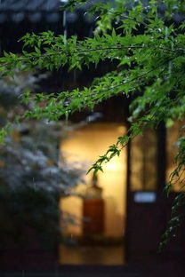 含有水和雨的古詩句